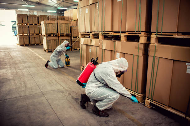Best Best Pest Control Companies  in Cherryvale, SC