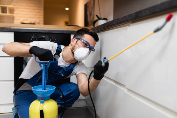 Best Local Pest Control Services  in Cherryvale, SC