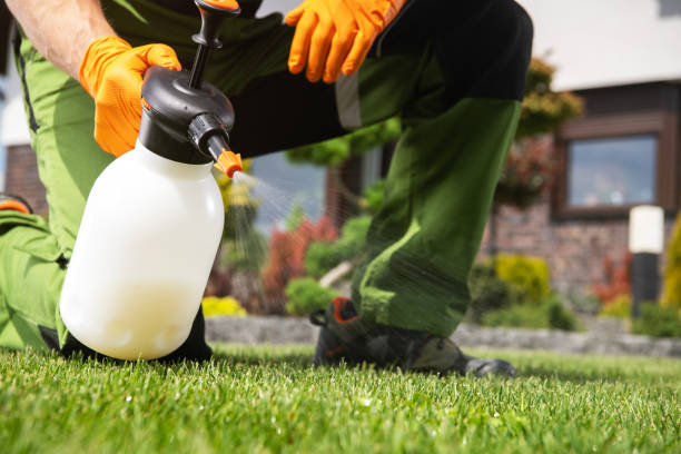Best Residential Pest Control  in Cherryvale, SC