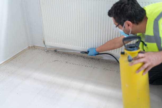 Trusted Cherryvale, SC Pest Control Experts