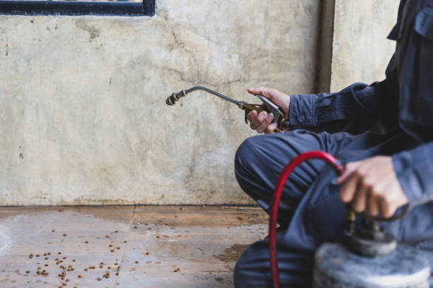Best Pest Control Treatment  in Cherryvale, SC